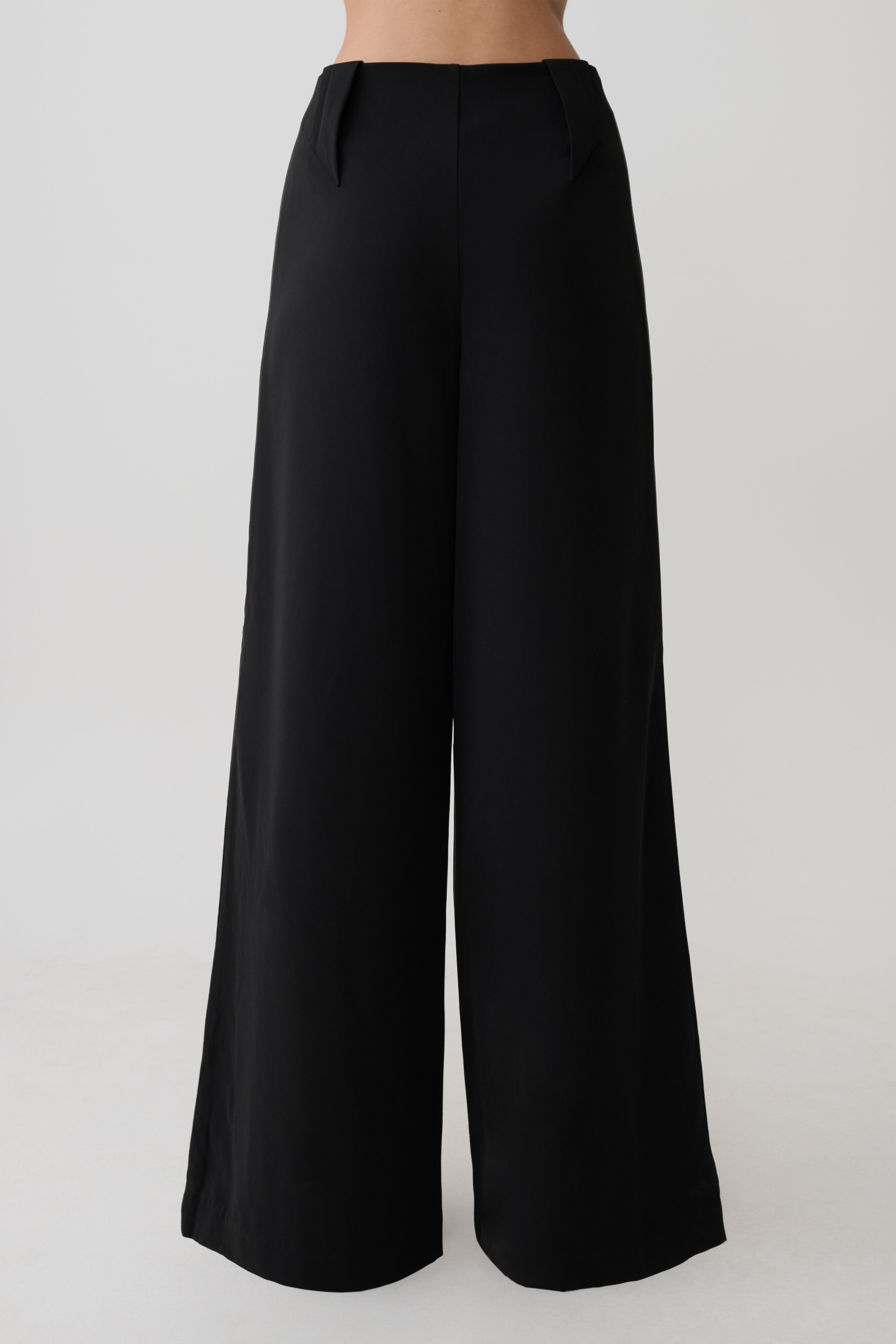 Arlo Wide Leg Suiting Trouser - Black