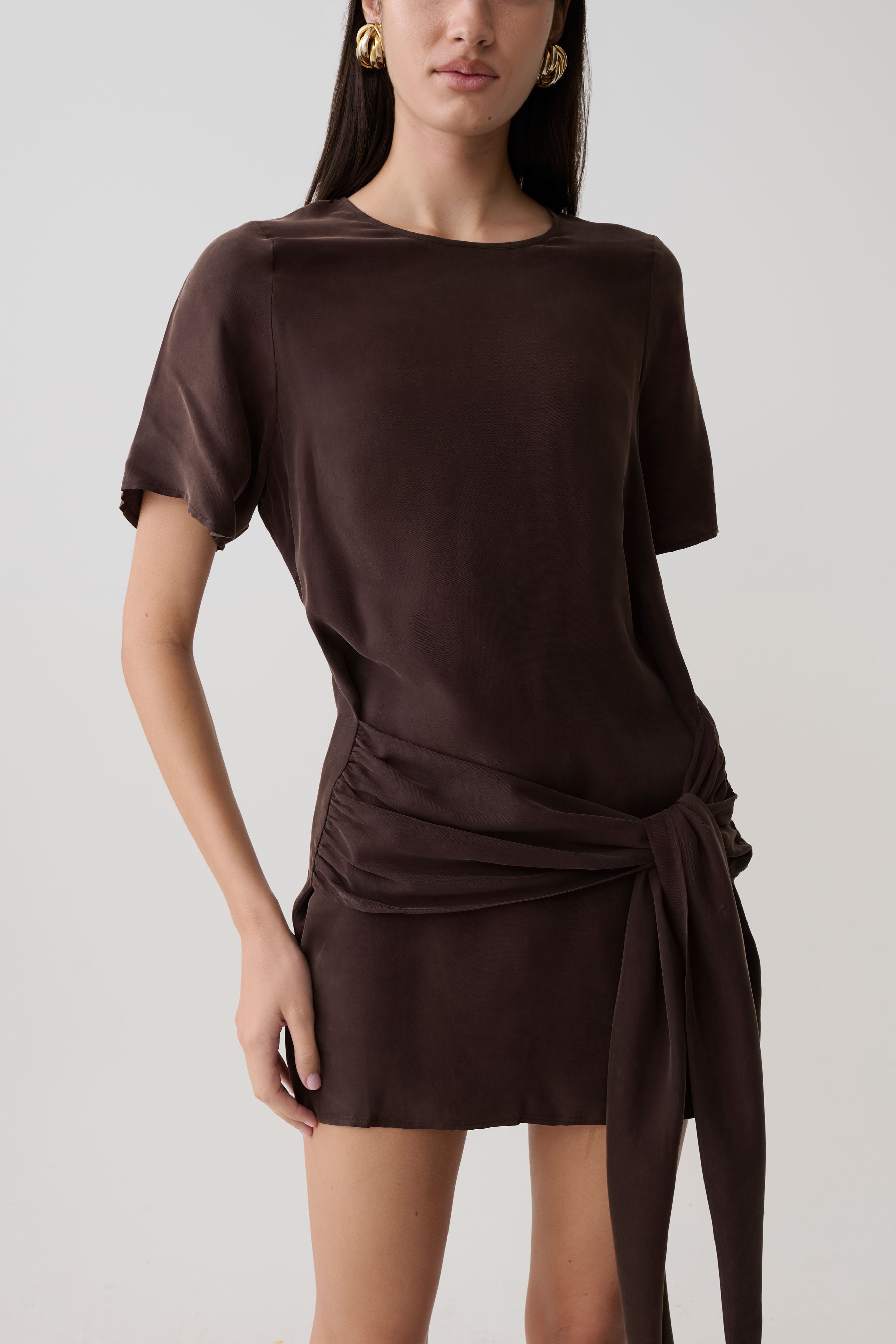 Felicity Short Sleeve Dress With Waist Tie - Dark Chocolate