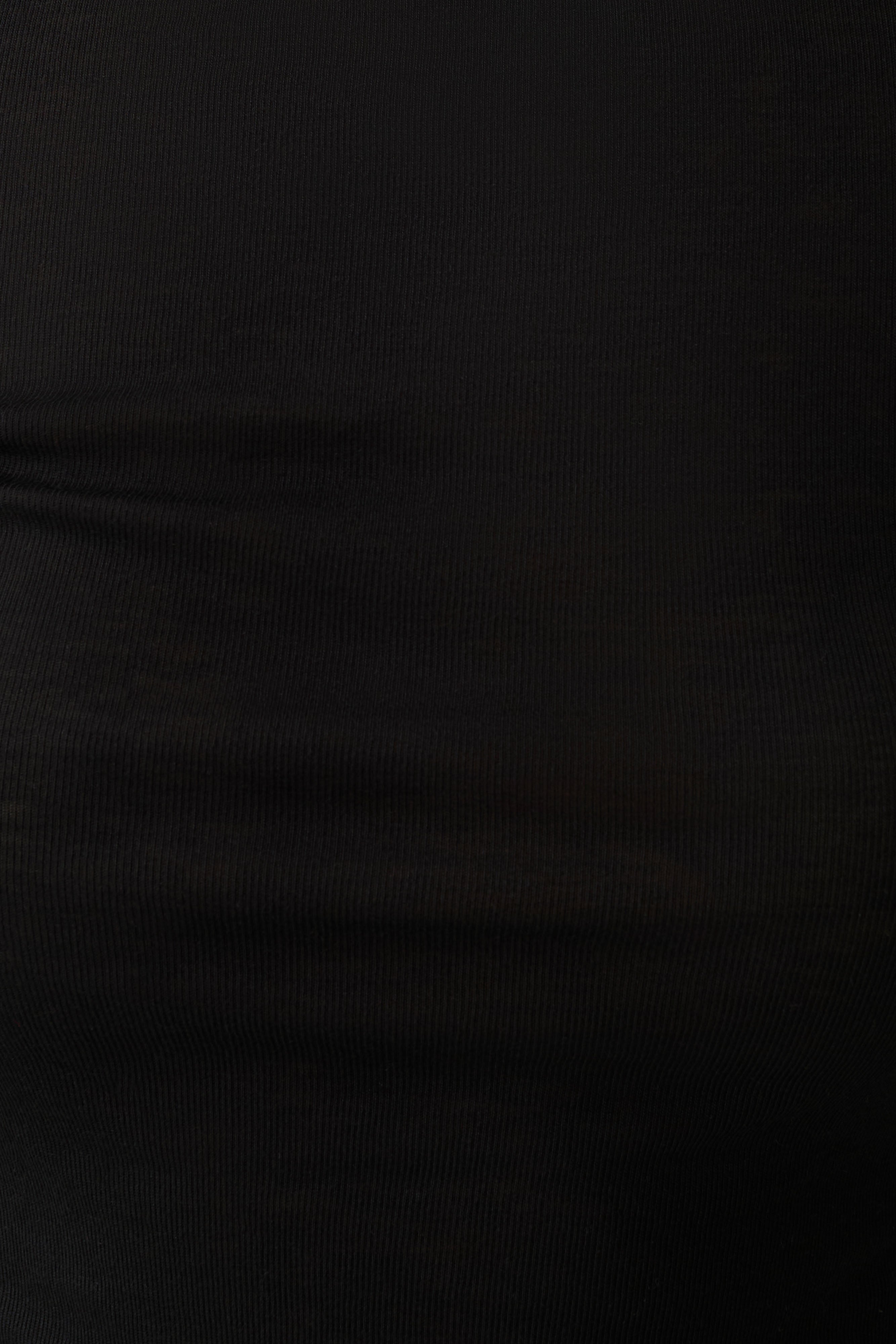 Coraline Long Sleeve Sheer Top - Black